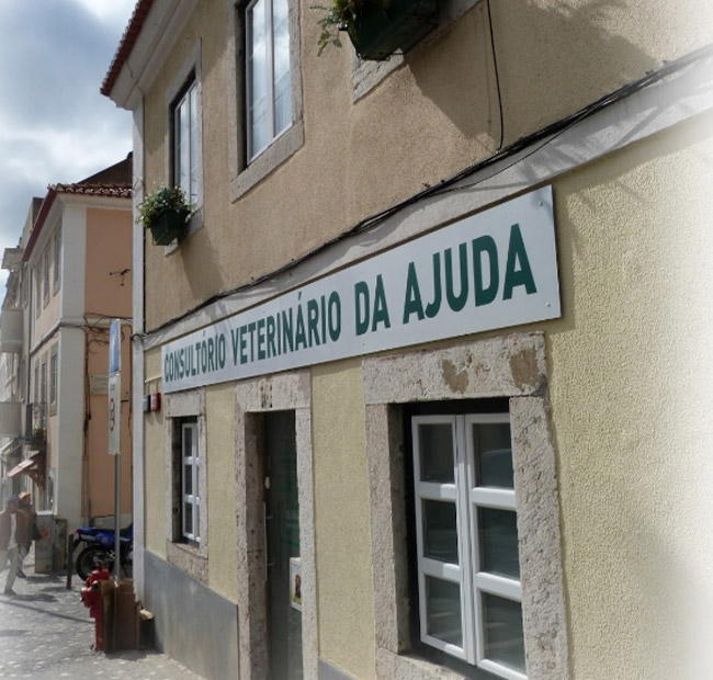 Consultório Veterinário da Ajuda