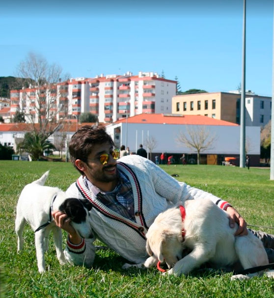 Dá-me Trela! Animais de Estimação