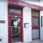 Dogtor - Clínicas Veterinárias, Lda.