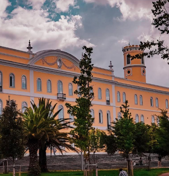 Executive MBA University of Coimbra flexible programme and participant profile
