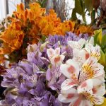 Best party florists in Lisbon to transform any event